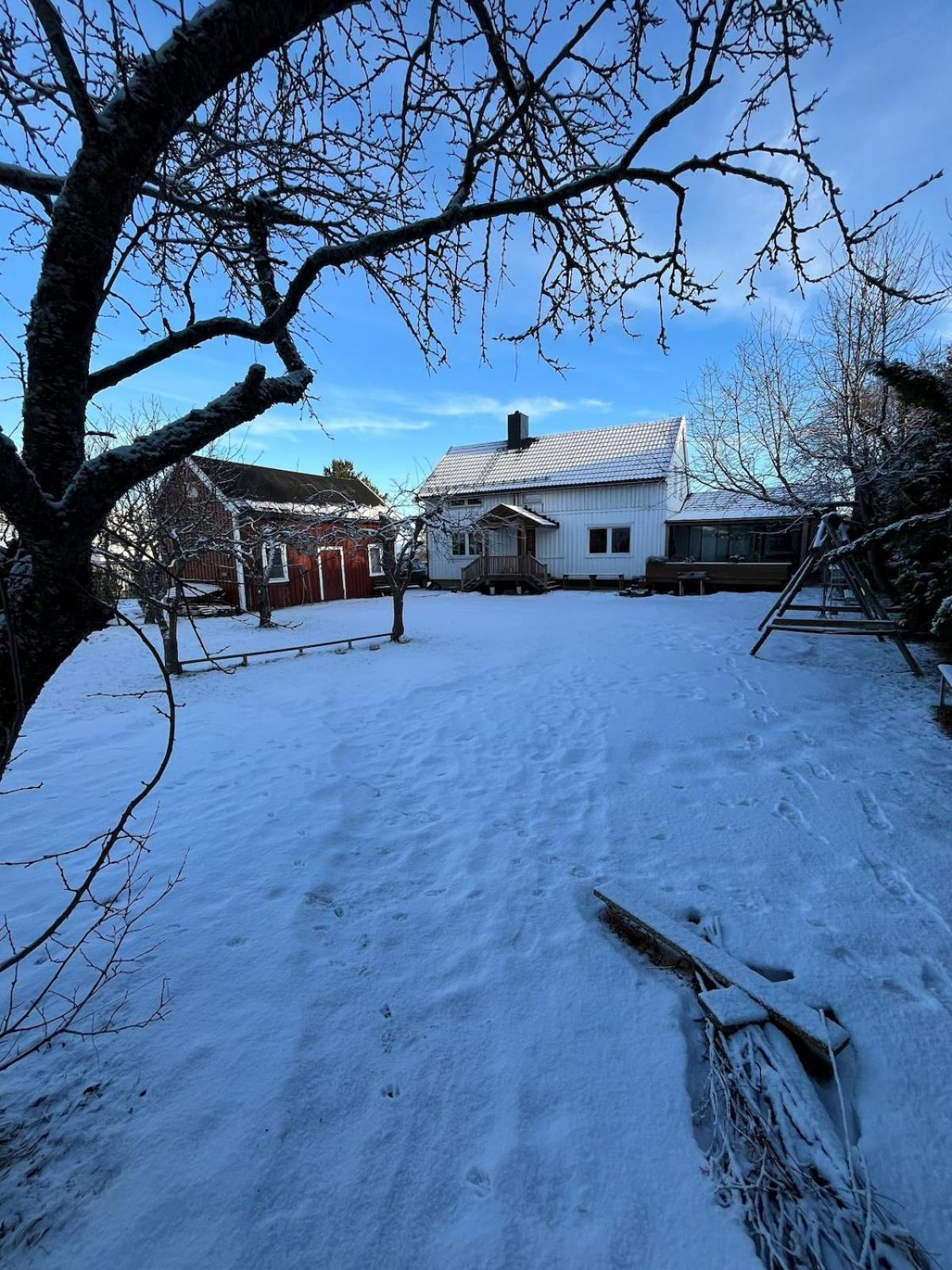 Older Villa With Large Garden Тронхейм Экстерьер фото